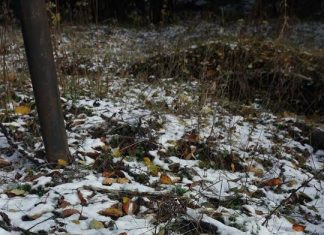 Първи сняг в Панагюрско