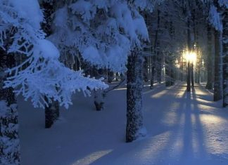 Зимна приказка в Родопите