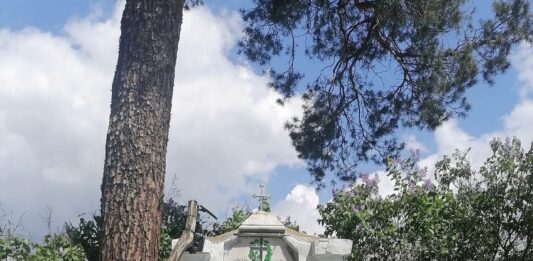 Паметникът на Джуджевия род в Панагюрище: Свидетелство за гибелта на едно семейство през април 1876 г.